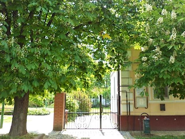 Szabadság Téri Apartman Gyomaendrődön