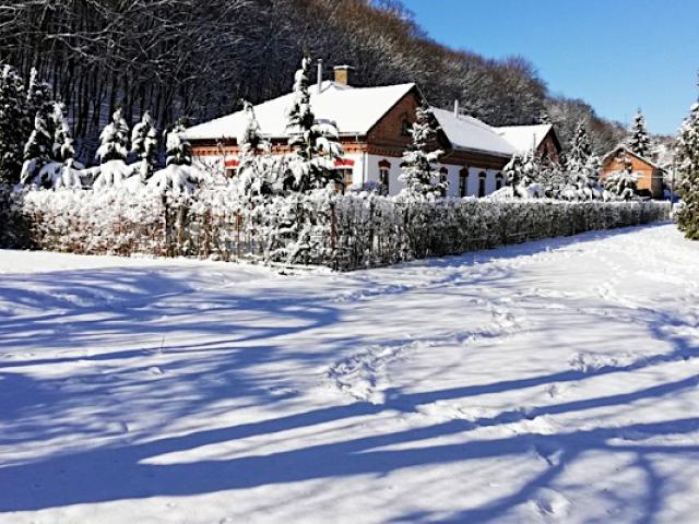 Parva Foresta Apartman Miskolc