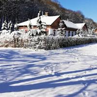 Parva Foresta Apartman Miskolc