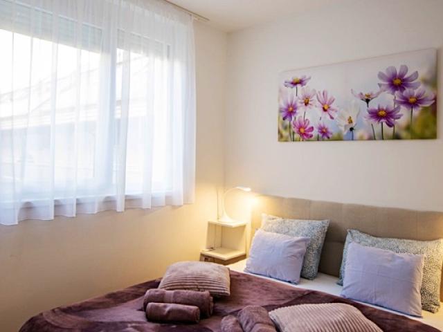 Cute Apartman Pécs