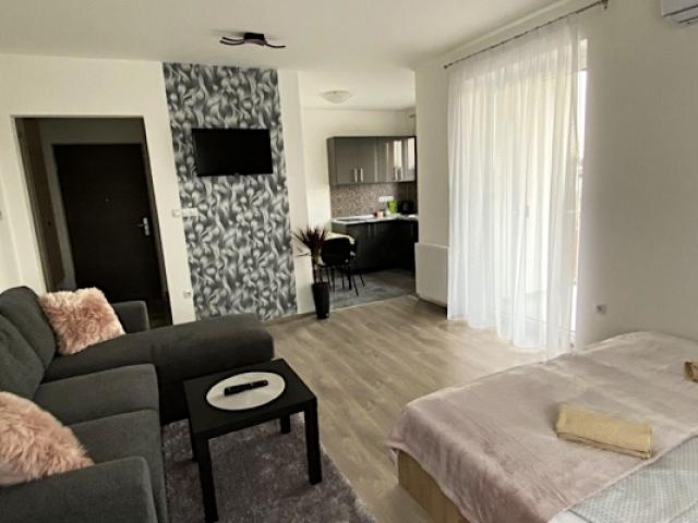 Silver Deluxe Apartman Zalaegerszeg