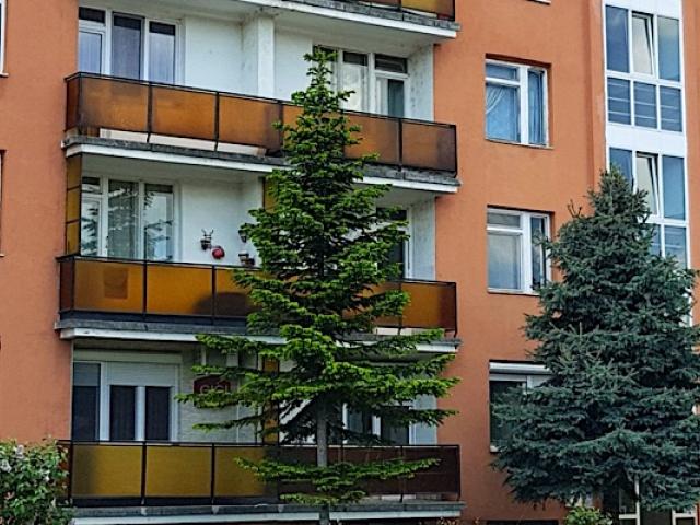 Kuckó Apartman Veszprém