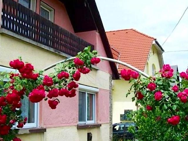 Panni Néni Apartman Balatonboglár