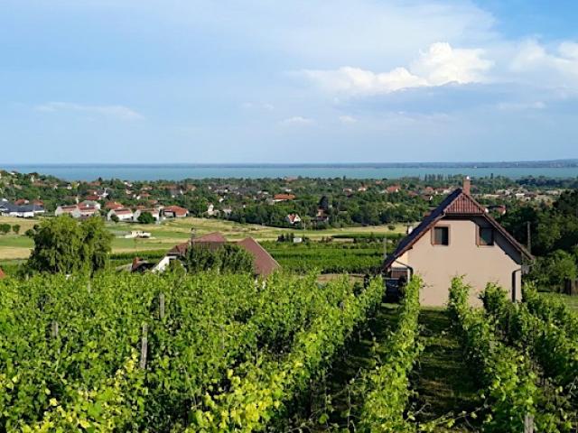 Lekics Pince és Vendégház Balatongyörök