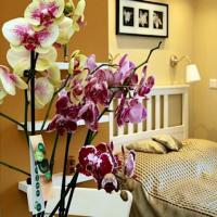 Orchidea Apartman Eger