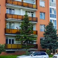 Kuckó Apartman Veszprém