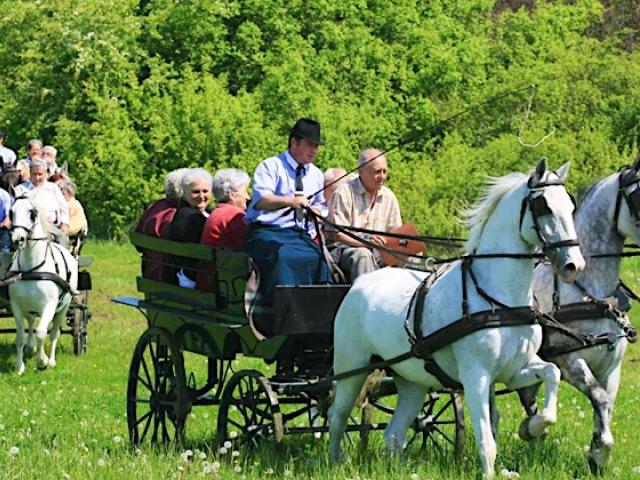 Szilvásvárad Camping & Apartman Szilvásvárad