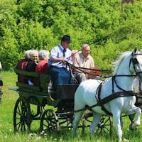 Szilvásvárad Camping & Apartman Szilvásvárad