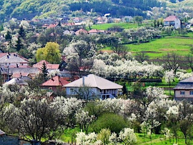 Papréte Vendégház Mályinka