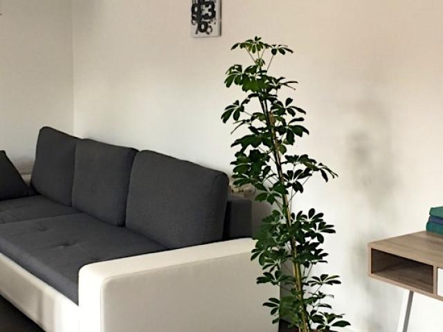 Rozmaring Apartman Pécs